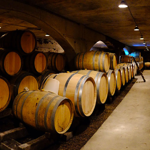 Cave à futs du Domaine Hubert Lamy